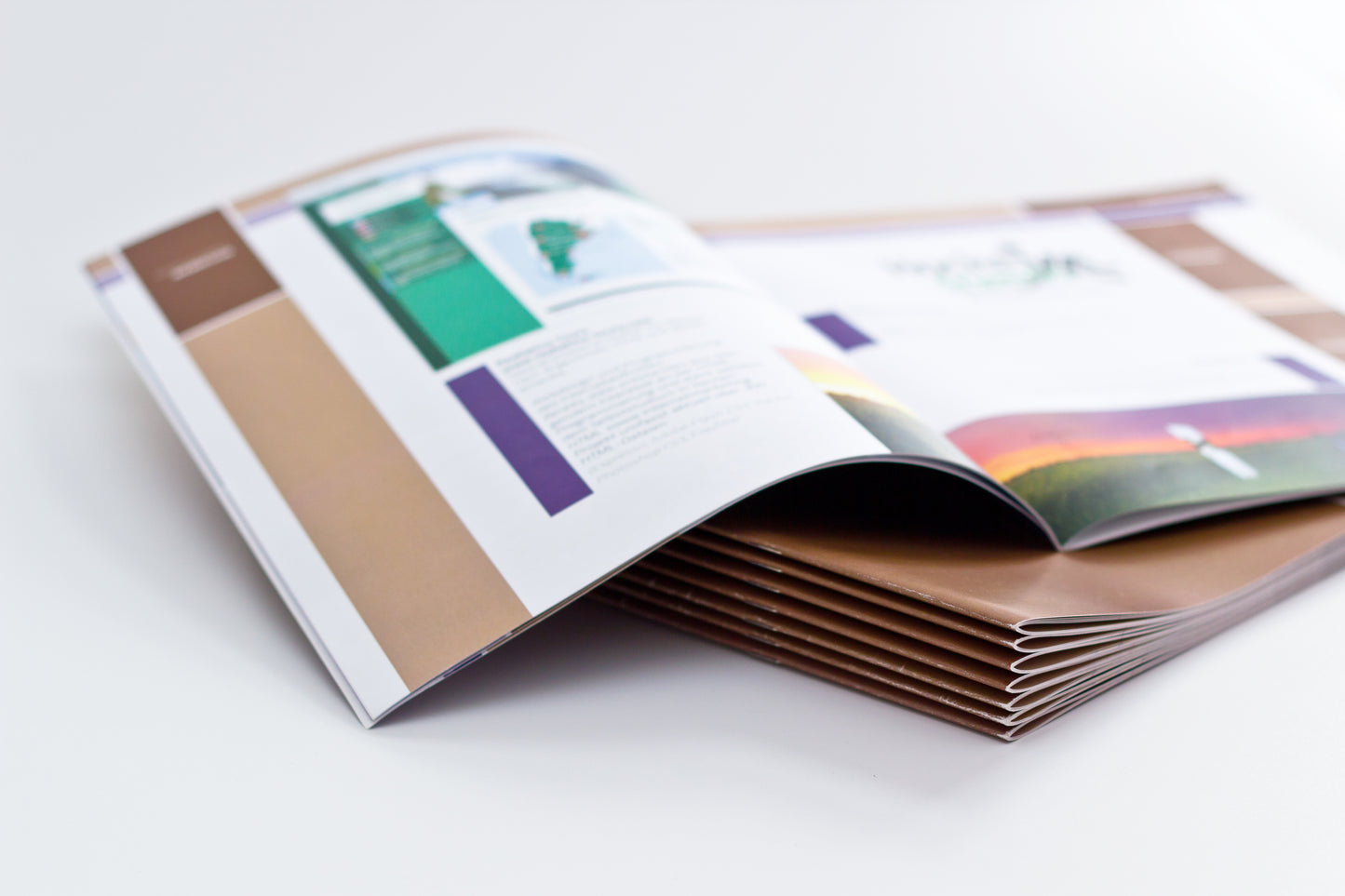 Saddle Stitch Books